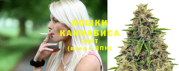 spice Аркадак