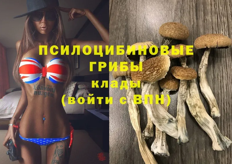 Галлюциногенные грибы Magic Shrooms  Елизово 