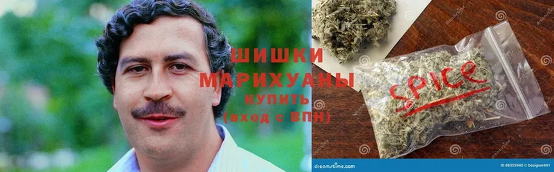 мориарти наркотические препараты  Елизово  МАРИХУАНА THC 21%  гидра вход 